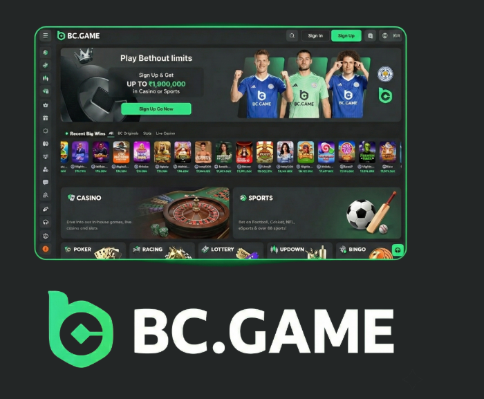 Complete Guide to BC.Game Poland Registration Process -404470807